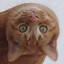 Maruˣᴰ