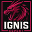 Igor 11