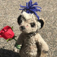 热心市民小香猪