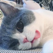 爱哭的小萝卜头丶