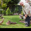 Avid Duck Enjoyer