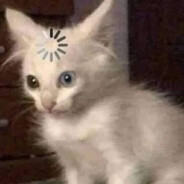 сырочек с пивом