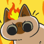 开小车的橘子君