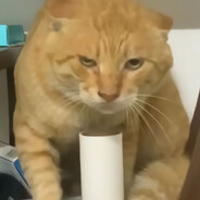 小薯条