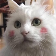 我是你的小可爱