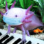 Axolotl