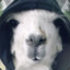 HonkingLlama