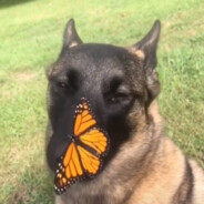 бустер мухтолово