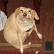 BisBala - steam id 76561198021146054