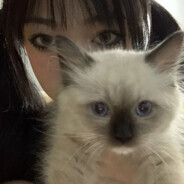 Avatar snapshot