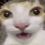 200 rats in a trench coat