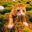 Purrvacious Winkatronn