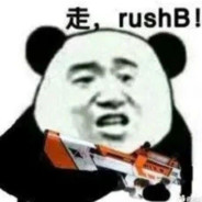 爱玩R8的小彩笔