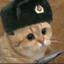 Comrade Whiskers