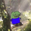 Nesoto