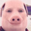 John Pork