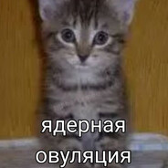 ВЛАГИНИТЕЛЬ