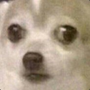 Лука серверный