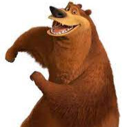 KAPITAN NIEDŹWIEDŹ