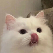 一起去看彩虹海