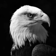 777 - steam id 76561198404459070