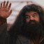 Hagrid