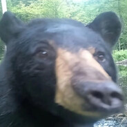 Łewap - steam id 76561198201386430