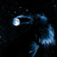 RavenMoon
