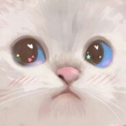 生活不易，猫猫叹气！