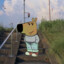 zxcvrotik
