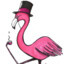 Dapper_Flamingo