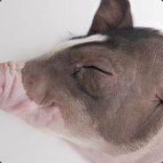 拖住，我在拆高