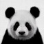 Veryweirdpanda