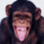 monke