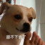张鱼哥