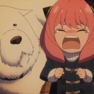 我是真的睡不醒