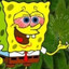 BOB_MAROLA
