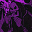 Haxix enjoyer