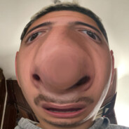 Hamed Hamed avatar