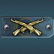 Master Guardian Elite ;D