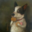 iuRdog