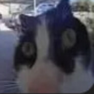 Lovely - steam id 76561198302242547