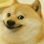 Gog