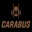 Carabus