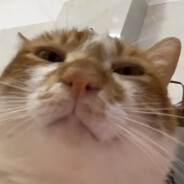 亡灵的红色头巾