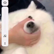 白嫖玩家富睿控