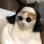 Holy Cat
