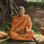 монах с тибета