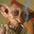 Droggy