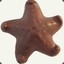 Chocolate Starfish